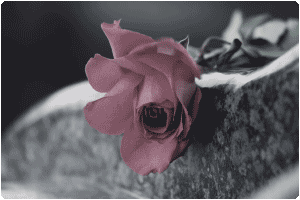 Was tun im TRAUERFALL